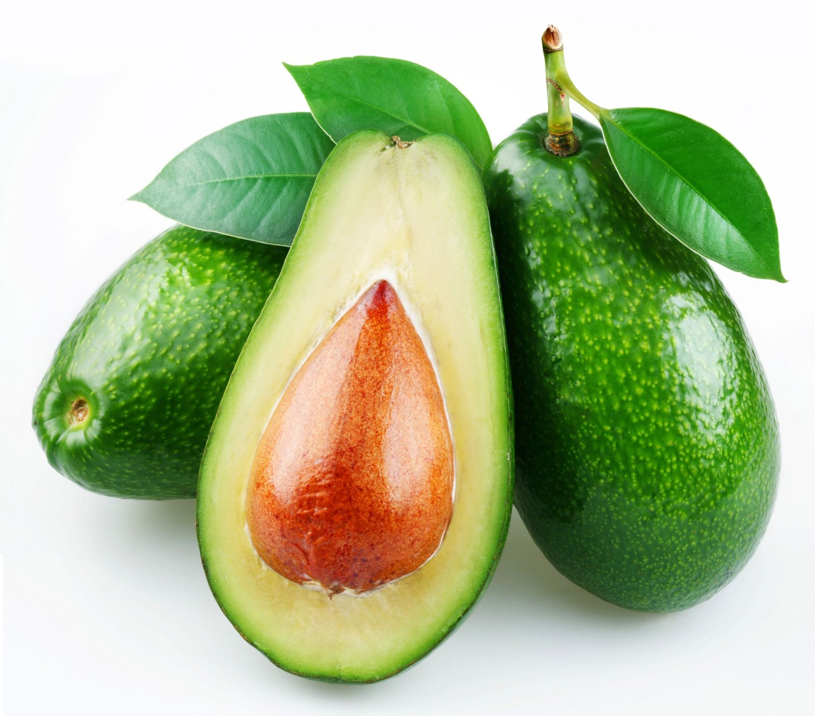 Avocado Fruits