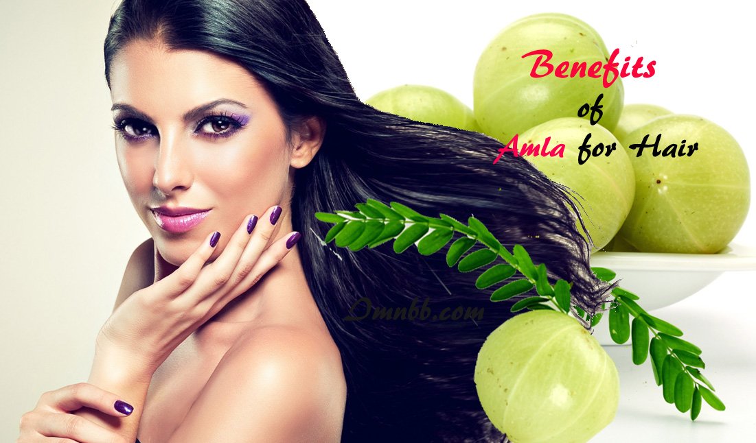 Benefits of Amla for Hair: