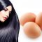 Beauty Benefits of Eggs for Hair and Skin