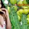 Benefits Of Amla For Skin And Hair