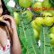 Benefits Of Amla For Skin And Hair