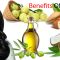 Amazing Benefits Of Hair Oil