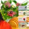 Patanjali Body Cleanser Soap Review